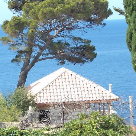 Villa Elly Dubrovnik Exterior foto